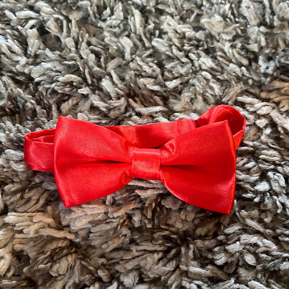 Baby bow tie